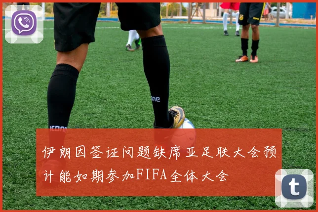 伊朗因签证问题缺席亚足联大会预计能如期参加FIFA全体大会